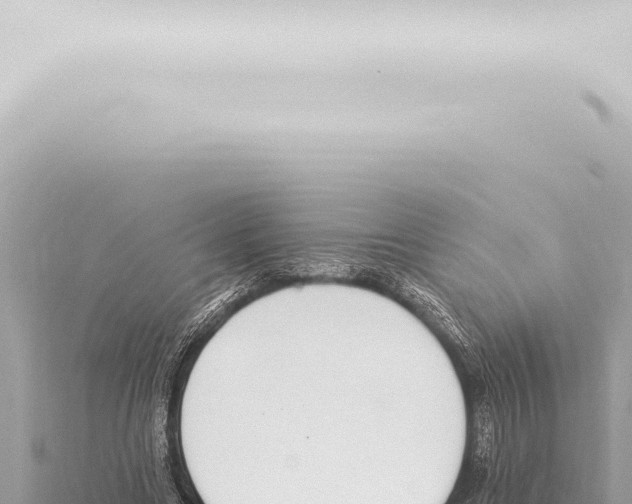 X0000115420538200912011248