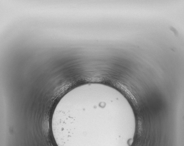 X0000115420541200912011248