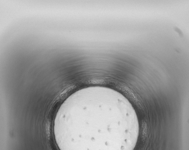 X0000115420542200912011248