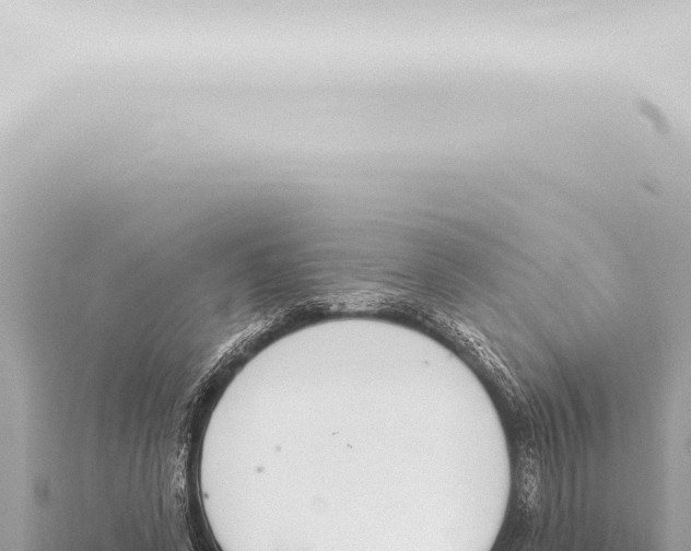 X0000115420543200912011248