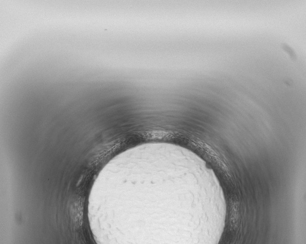 X0000115420545200912011248