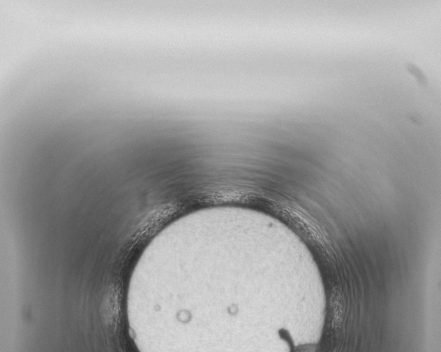 X0000115420546200912011248