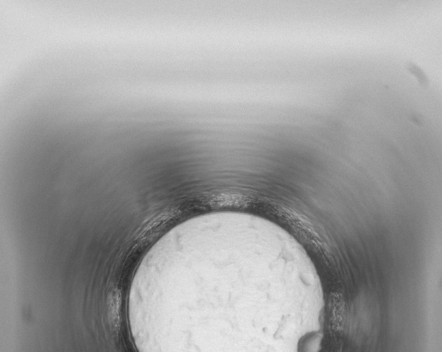 X0000115420550200912011248