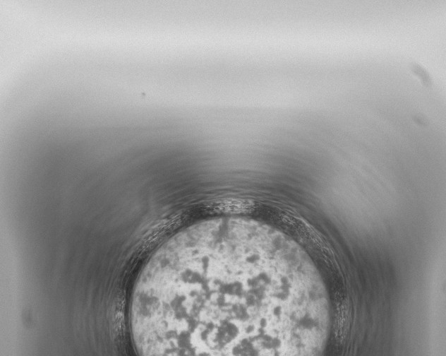 X0000115420553200912011248