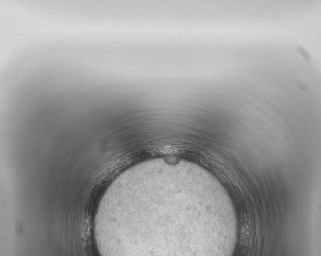 X0000115420555200912011248