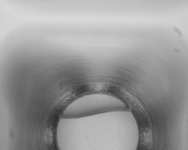 X0000115420558200912011248