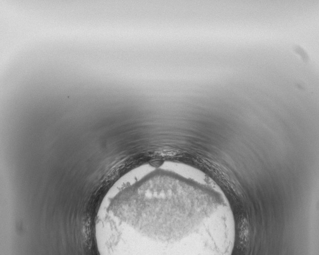 X0000115420559200912011248