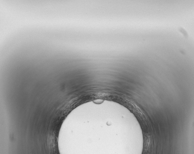 X0000115420565200912011248