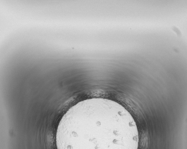 X0000115420569200912011248