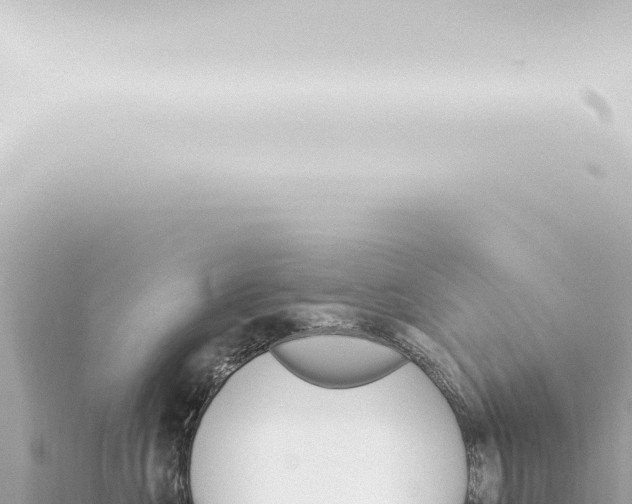 X0000115420573200912011248