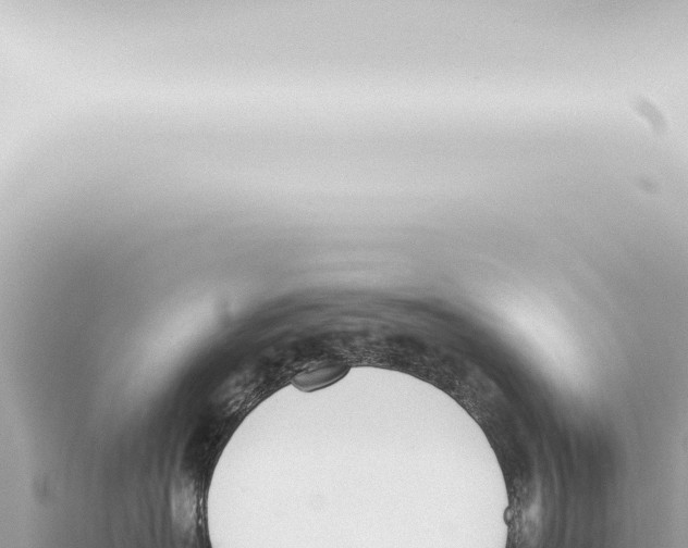 X0000115420574200912011248