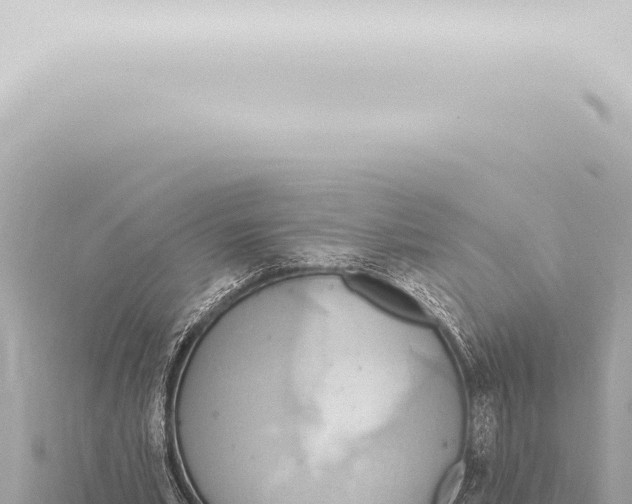 X0000115420581200912011248