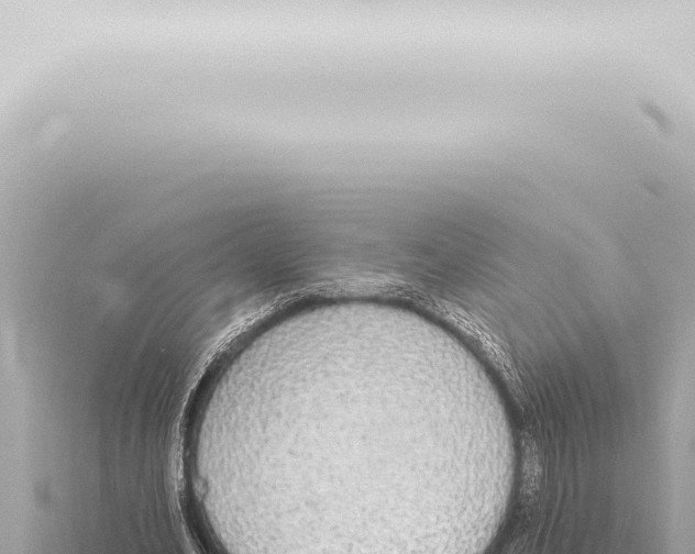 X0000115420582200912011248