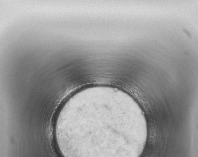 X0000115420584200912011248