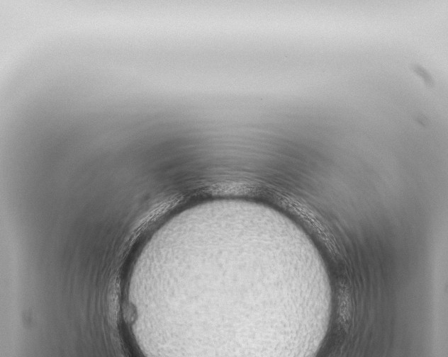 X0000115420586200912011247