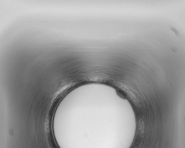 X0000115420587200912011247