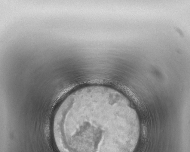 X0000115420588200912011247