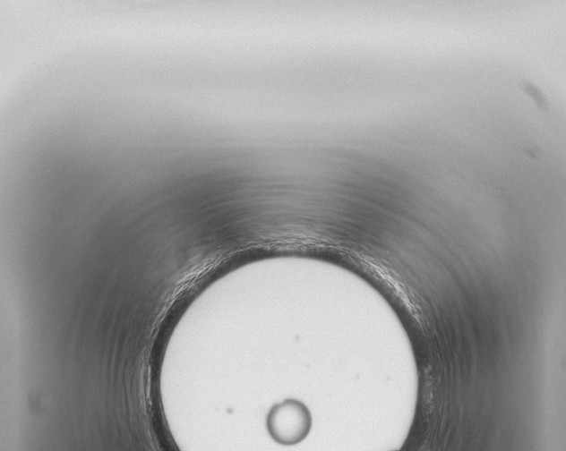 X0000115420589200912011247