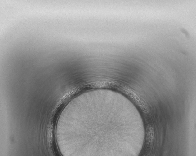 X0000115420590200912011247