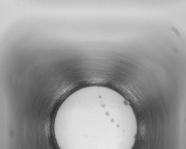 X0000115420591200912011247