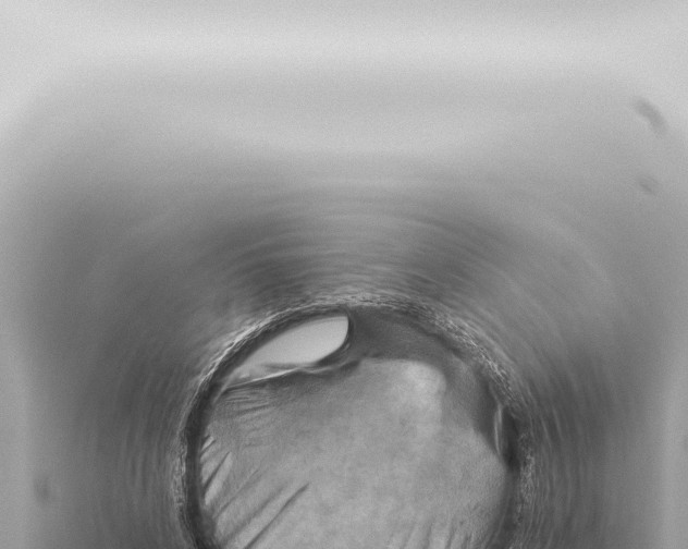 X0000115420592200912011247