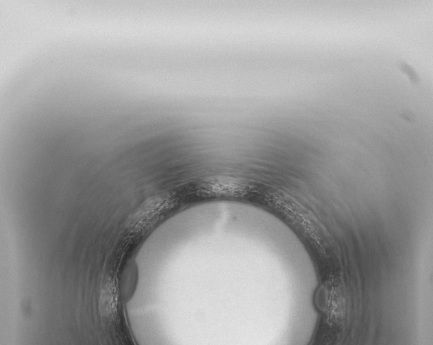 X0000115420593200912011247