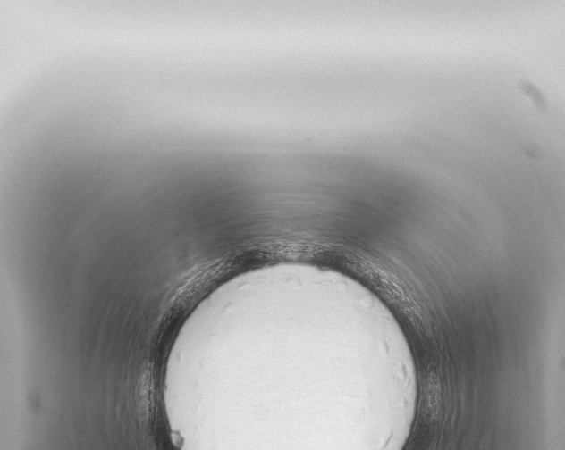 X0000115420594200912011247