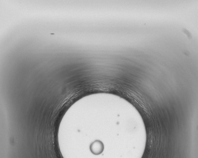 X0000115420595200912011247