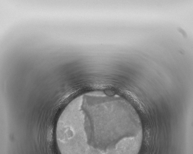 X0000115420596200912011247