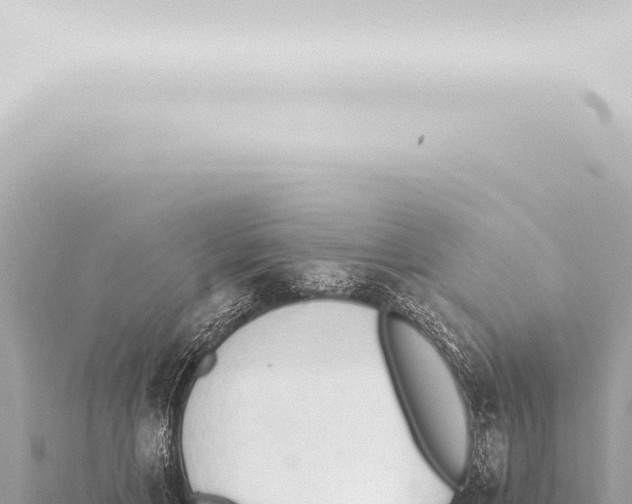 X0000115420597200912011247