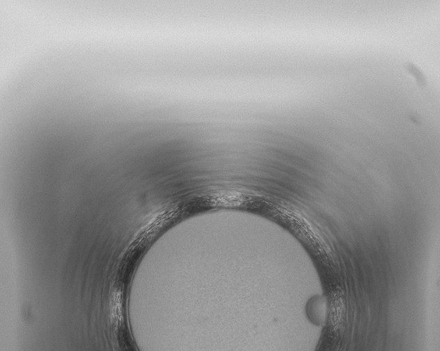 X0000115420598200912011247