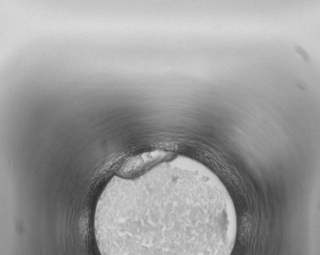 X0000115420600200912011247