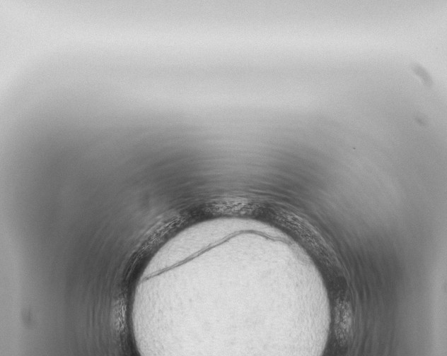 X0000115420602200912011247