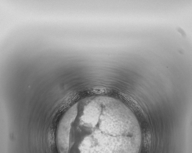 X0000115420606200912011247