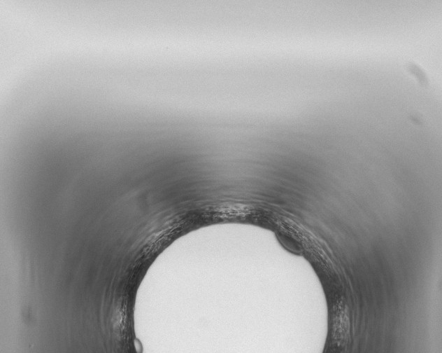 X0000115420608200912011247