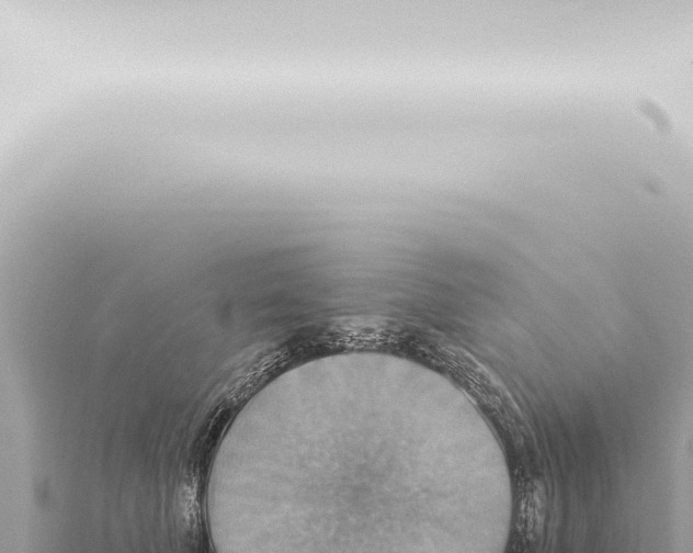 X0000115420610200912011247