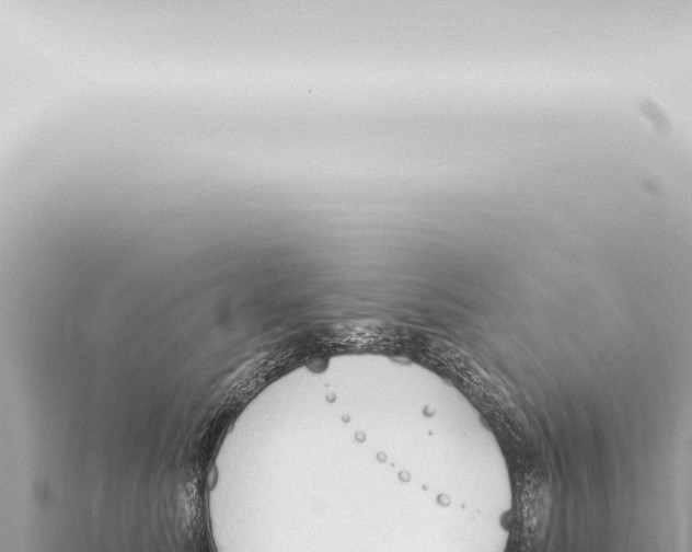 X0000115420611200912011247