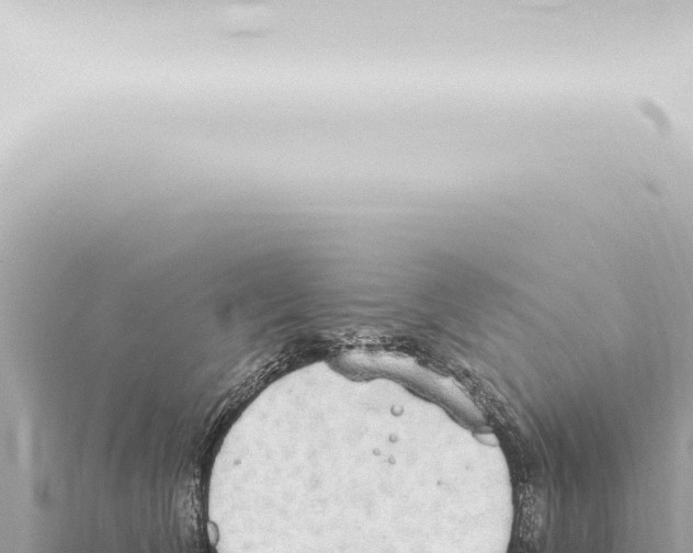 X0000115420612200912011247