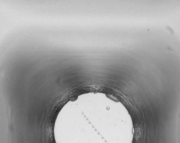 X0000115420613200912011247