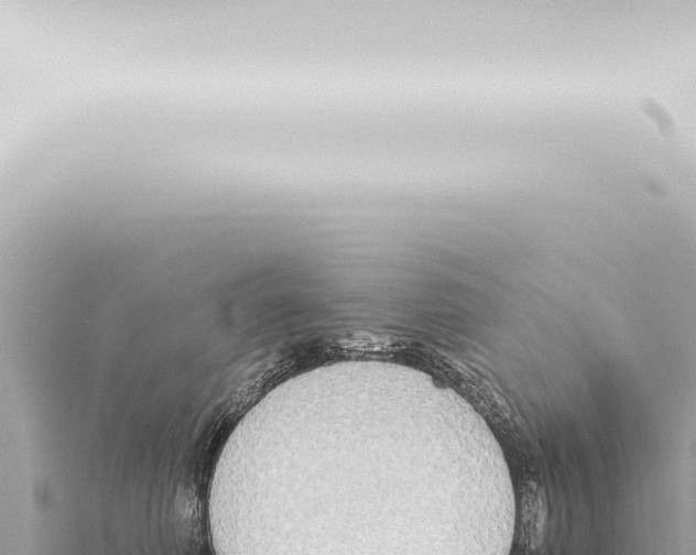 X0000115420614200912011247