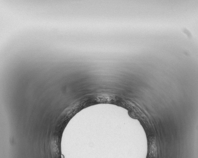 X0000115420616200912011247