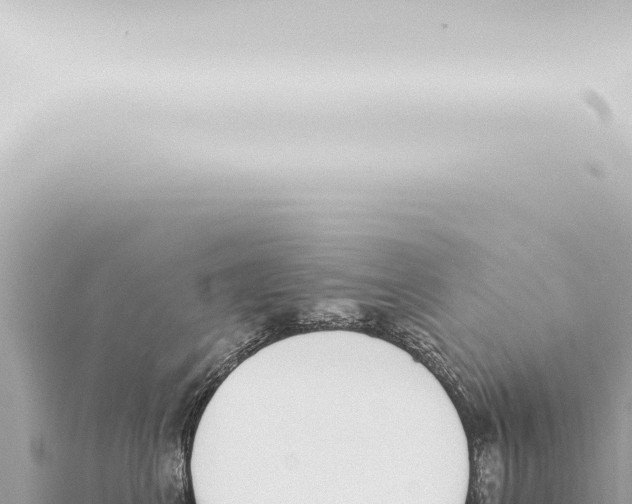 X0000115420617200912011247