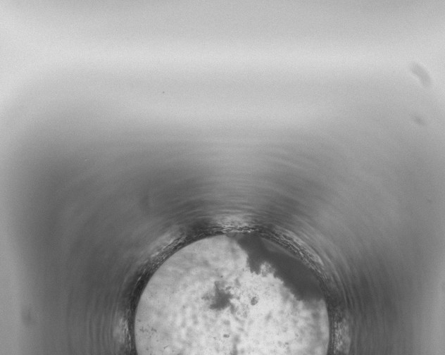 X0000115420618200912011247