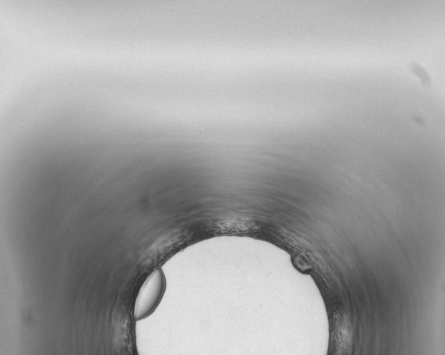 X0000115420619200912011247