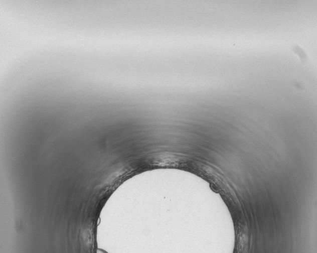 X0000115420620200912011247