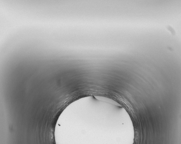 X0000115420621200912011247