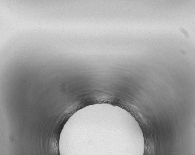 X0000115420622200912011247