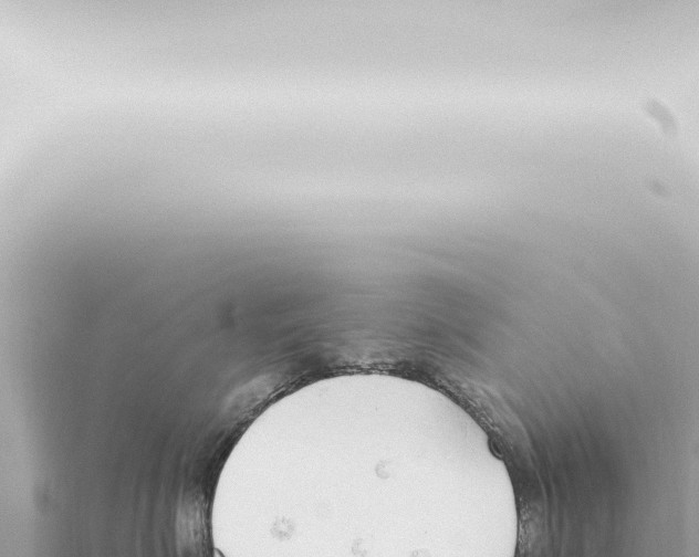 X0000115420623200912011247