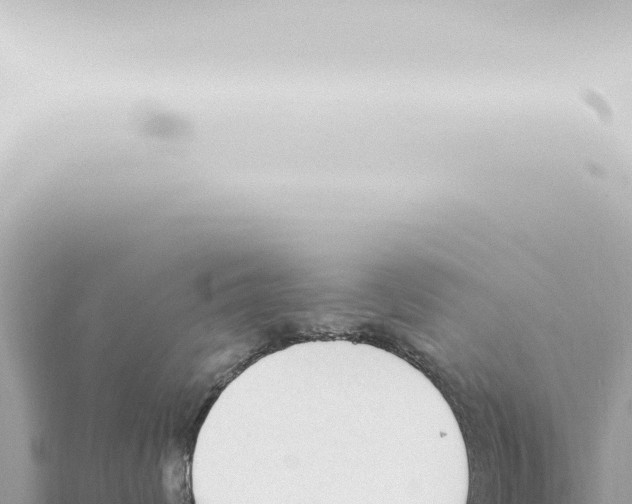 X0000115420624200912011247