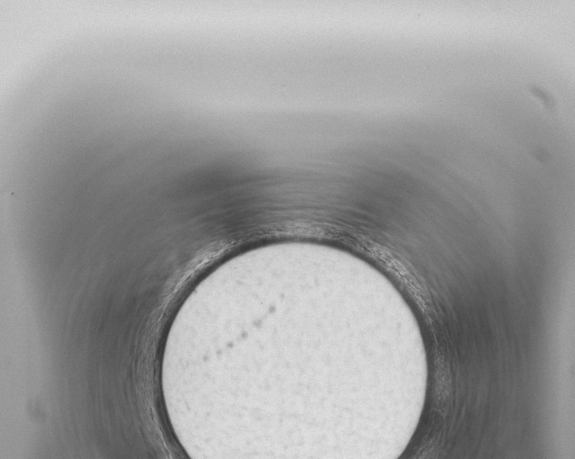 X0000115420625200912011246